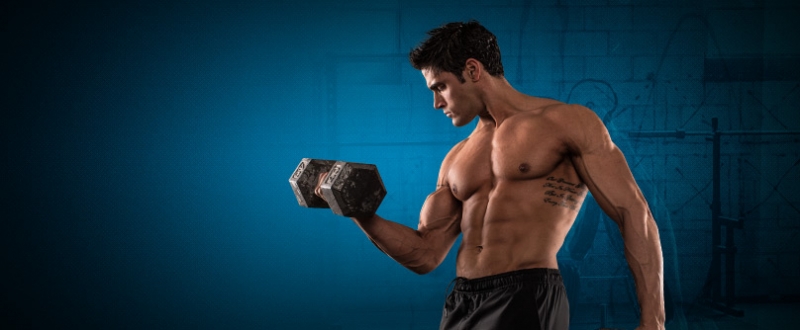 Sports Nutrition & Workout Support