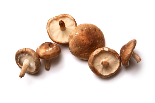 shiitake mushroom